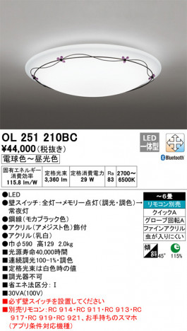 ODELIC �����ǥ�å� ������󥰥饤�� OL251210BC �ᥤ��̿�