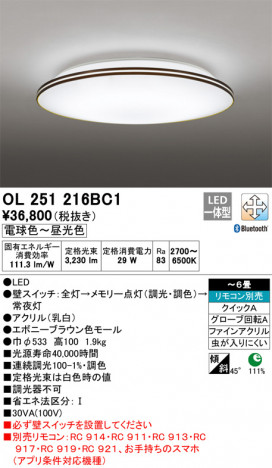 ODELIC �����ǥ�å� ������󥰥饤�� OL251216BC1 �ᥤ��̿�