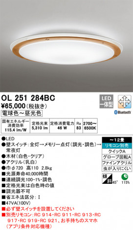 ODELIC ǥå 󥰥饤 OL251284BC ᥤ̿