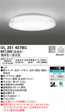 ODELIC ǥå 󥰥饤 OL251427BC ᥤ̿