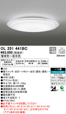 ODELIC �����ǥ�å� ������󥰥饤�� OL251441BC �ᥤ��̿�