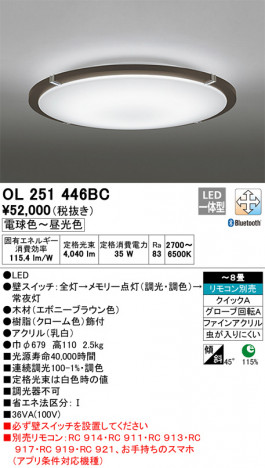 ODELIC �����ǥ�å� ������󥰥饤�� OL251446BC �ᥤ��̿�