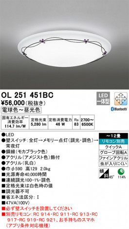 ODELIC �����ǥ�å� ������󥰥饤�� OL251451BC �ᥤ��̿�