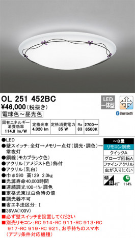 ODELIC �����ǥ�å� ������󥰥饤�� OL251452BC �ᥤ��̿�