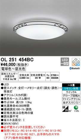 ODELIC �����ǥ�å� ������󥰥饤�� OL251454BC �ᥤ��̿�