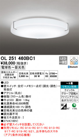 ODELIC �����ǥ�å� ������󥰥饤�� OL251460BC1 �ᥤ��̿�