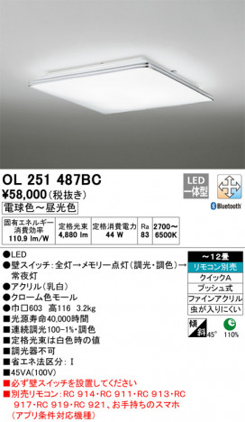 ODELIC �����ǥ�å� ������󥰥饤�� OL251487BC �ᥤ��̿�