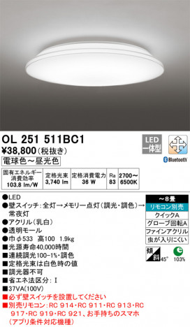 ODELIC �����ǥ�å� ������󥰥饤�� OL251511BC1 �ᥤ��̿�