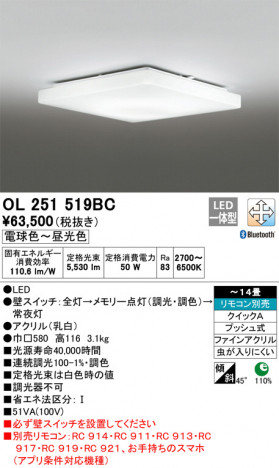 ODELIC �����ǥ�å� ������󥰥饤�� OL251519BC �ᥤ��̿�