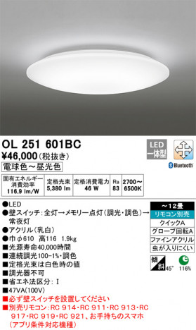 ODELIC �����ǥ�å� ������󥰥饤�� OL251601BC �ᥤ��̿�