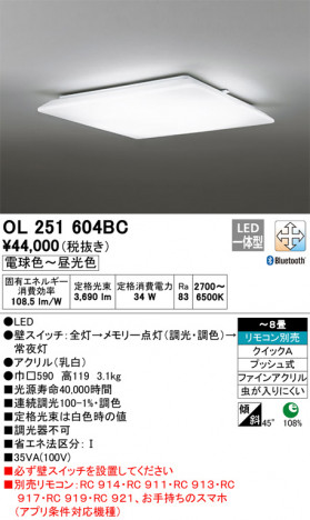 ODELIC �����ǥ�å� ������󥰥饤�� OL251604BC �ᥤ��̿�