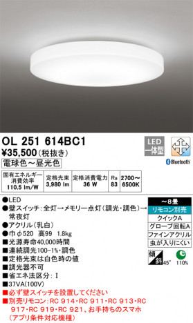 ODELIC �����ǥ�å� ������󥰥饤�� OL251614BC1 �ᥤ��̿�