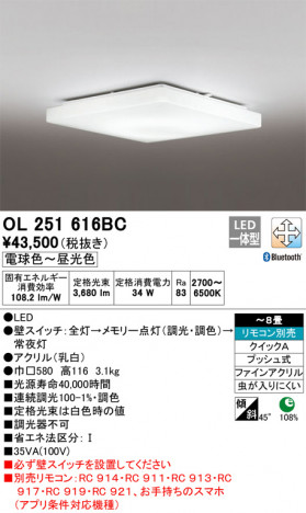 ODELIC �����ǥ�å� ������󥰥饤�� OL251616BC �ᥤ��̿�