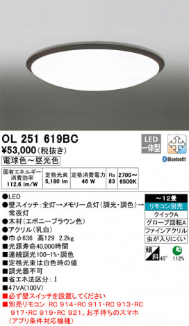 ODELIC �����ǥ�å� ������󥰥饤�� OL251619BC �ᥤ��̿�