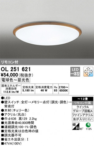 ODELIC �����ǥ�å� ������󥰥饤�� OL251621 �ᥤ��̿�