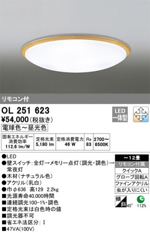 ODELIC �����ǥ�å� ������󥰥饤�� OL251623 �ᥤ��̿�