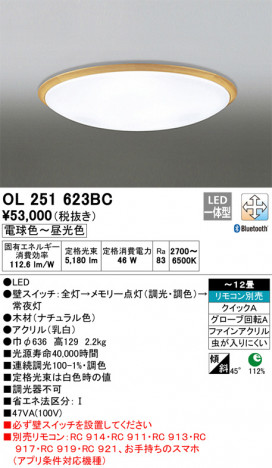 ODELIC �����ǥ�å� ������󥰥饤�� OL251623BC �ᥤ��̿�