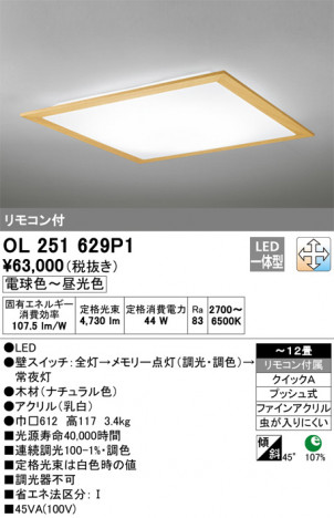 ODELIC �����ǥ�å� ������󥰥饤�� OL251629P1 �ᥤ��̿�