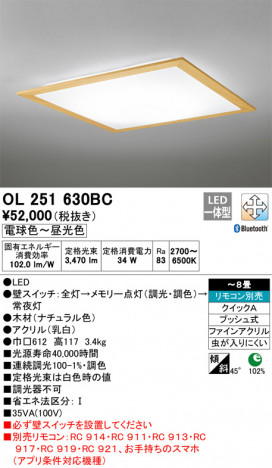 ODELIC �����ǥ�å� ������󥰥饤�� OL251630BC �ᥤ��̿�