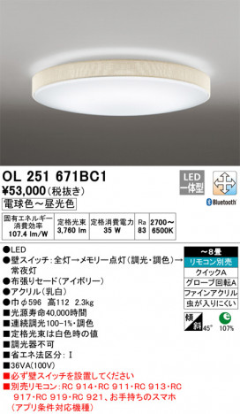 ODELIC �����ǥ�å� ������󥰥饤�� OL251671BC1 �ᥤ��̿�