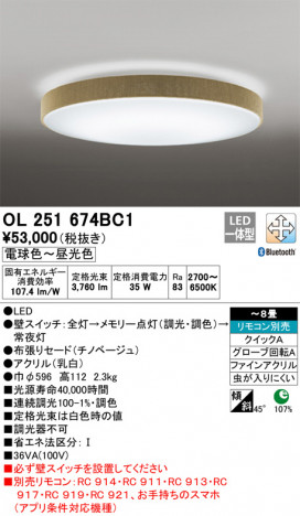 ODELIC �����ǥ�å� ������󥰥饤�� OL251674BC1 �ᥤ��̿�