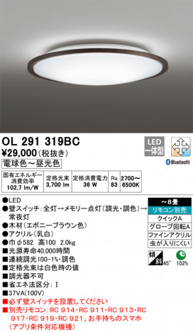 ODELIC �����ǥ�å� ������󥰥饤�� OL291319BC �ᥤ��̿�