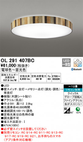 ODELIC �����ǥ�å� ������󥰥饤�� OL291407BC �ᥤ��̿�