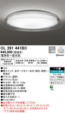 ODELIC �����ǥ�å� ������󥰥饤�� OL291441BC �ᥤ��̿�