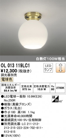 ODELIC �����ǥ�å� ����������󥰥饤�� OL013119LC1 �ᥤ��̿�