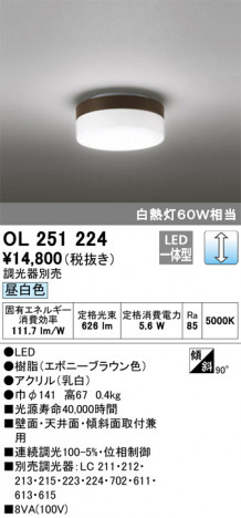 ODELIC �����ǥ�å� ����������󥰥饤�� OL251224 �ᥤ��̿�