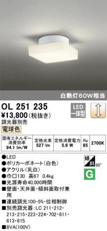 ODELIC �����ǥ�å� ����������󥰥饤�� OL251235 �ᥤ��̿�