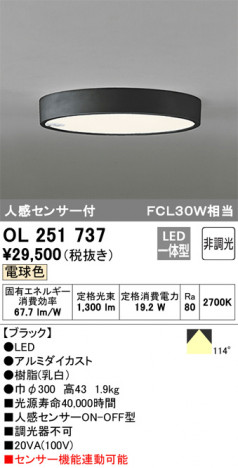 ODELIC �����ǥ�å� ����������󥰥饤�� OL251737 �ᥤ��̿�