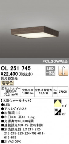 ODELIC �����ǥ�å� ����������󥰥饤�� OL251745 �ᥤ��̿�