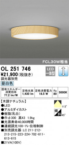 ODELIC �����ǥ�å� ����������󥰥饤�� OL251746 �ᥤ��̿�