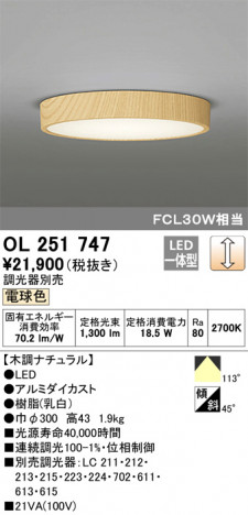 ODELIC �����ǥ�å� ����������󥰥饤�� OL251747 �ᥤ��̿�