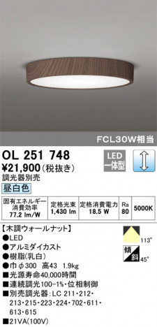 ODELIC �����ǥ�å� ����������󥰥饤�� OL251748 �ᥤ��̿�