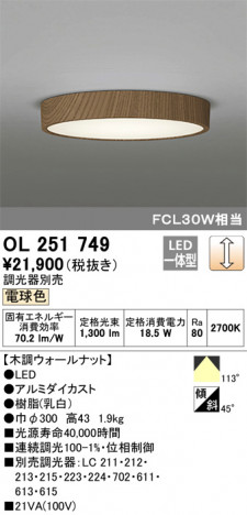 ODELIC �����ǥ�å� ����������󥰥饤�� OL251749 �ᥤ��̿�