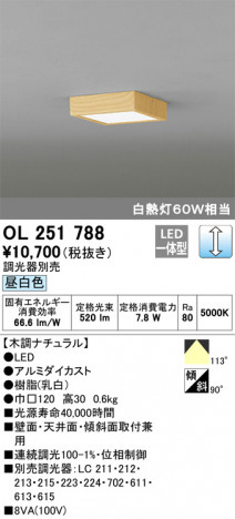 ODELIC �����ǥ�å� ����������󥰥饤�� OL251788 �ᥤ��̿�