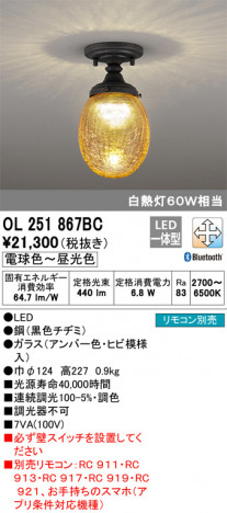 ODELIC �����ǥ�å� ����������󥰥饤�� OL251867BC �ᥤ��̿�