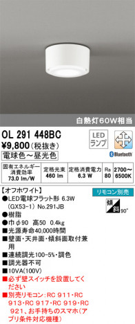 ODELIC �����ǥ�å� ����������󥰥饤�� OL291448BC �ᥤ��̿�