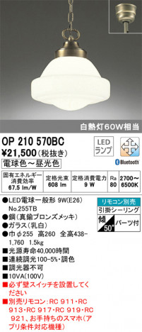 ODELIC �����ǥ�å� �ڥ����ȥ饤�� OP210570BC �ᥤ��̿�