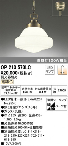 ODELIC �����ǥ�å� �ڥ����ȥ饤�� OP210570LC �ᥤ��̿�