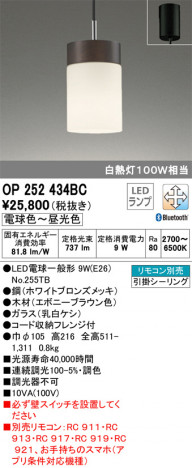 ODELIC �����ǥ�å� �ڥ����ȥ饤�� OP252434BC �ᥤ��̿�