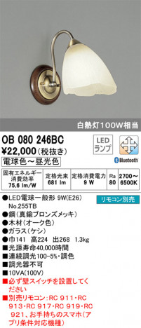 ODELIC ǥå ֥饱å OB080246BC ᥤ̿