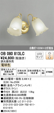 ODELIC �����ǥ�å� �֥饱�å� OB080813LC �ᥤ��̿�