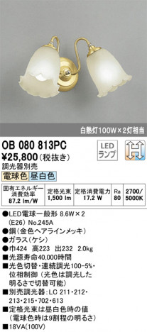 ODELIC �����ǥ�å� �֥饱�å� OB080813PC �ᥤ��̿�