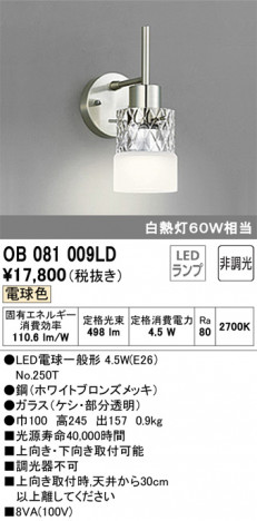 ODELIC ǥå ֥饱å OB081009LD ᥤ̿
