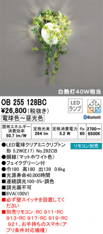 ODELIC �����ǥ�å� �֥饱�å� OB255128BC �ᥤ��̿�