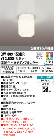 ODELIC �����ǥ�å� �Х��롼��饤�� OW009153BR �ᥤ��̿�