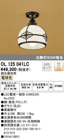 ODELIC �����ǥ�å� ����������󥰥饤�� OL125041LC �ᥤ��̿�